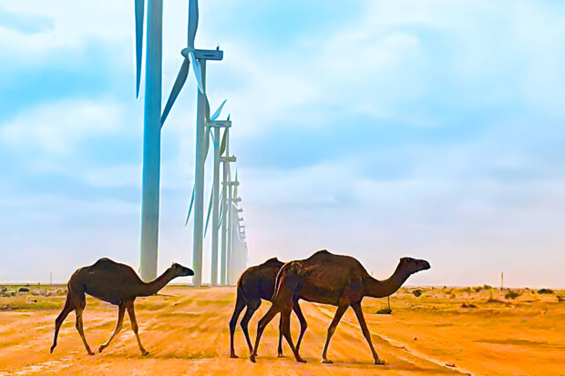 Parc Eolien Boujdour