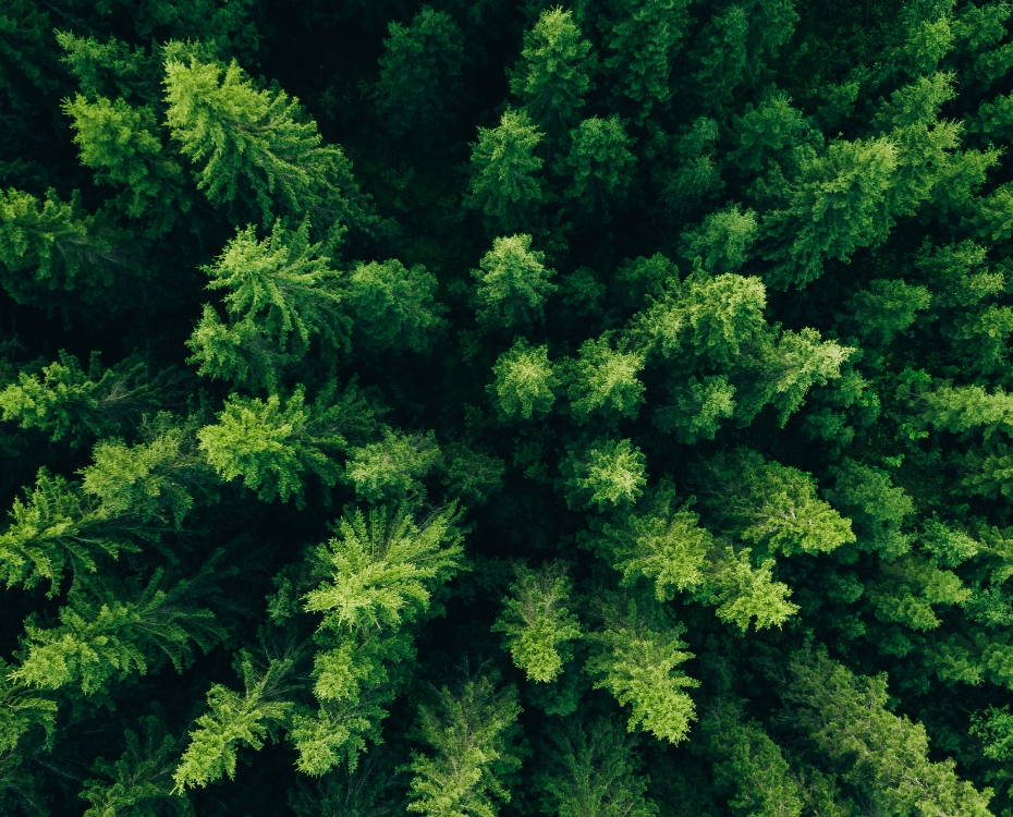 Engagement pour l’environnement